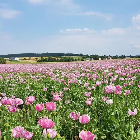 Daire Lovely In Hesse