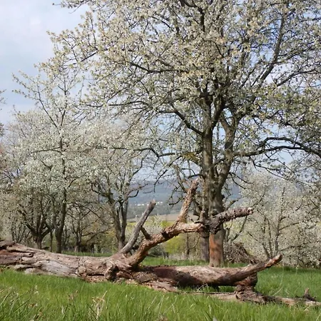 Lovely In Hesse Daire Hitzerode