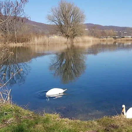 Daire Lovely In Hesse