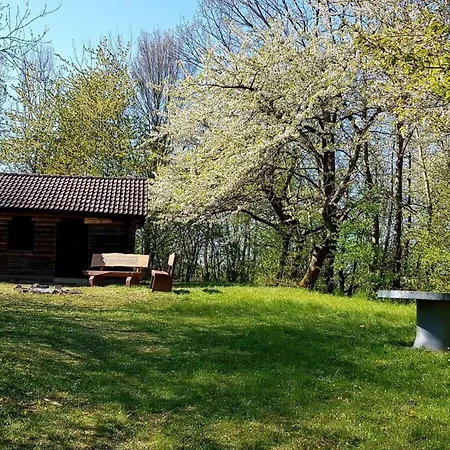 Daire Lovely In Hesse Hitzerode