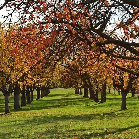 Daire Lovely In Hesse *