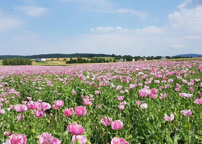 Lägenhet Lovely In Hesse