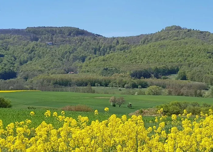 Lovely In Hesse Lägenhet *
