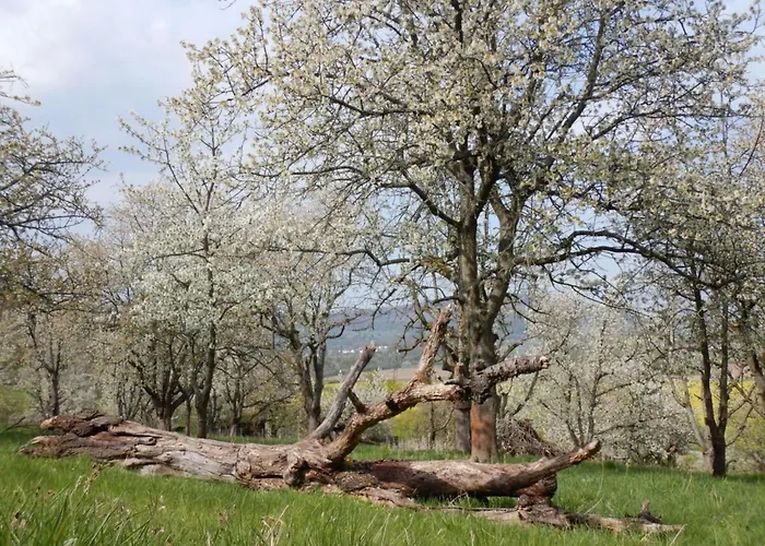 Lovely In Hesse Lägenhet Hitzerode