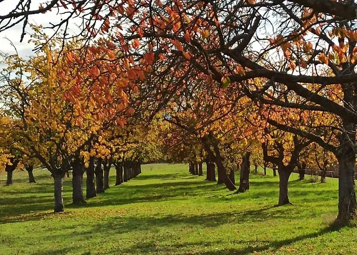 Lägenhet Lovely In Hesse *